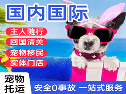 黑河瑷珲航空货运国际宠物托运 【国